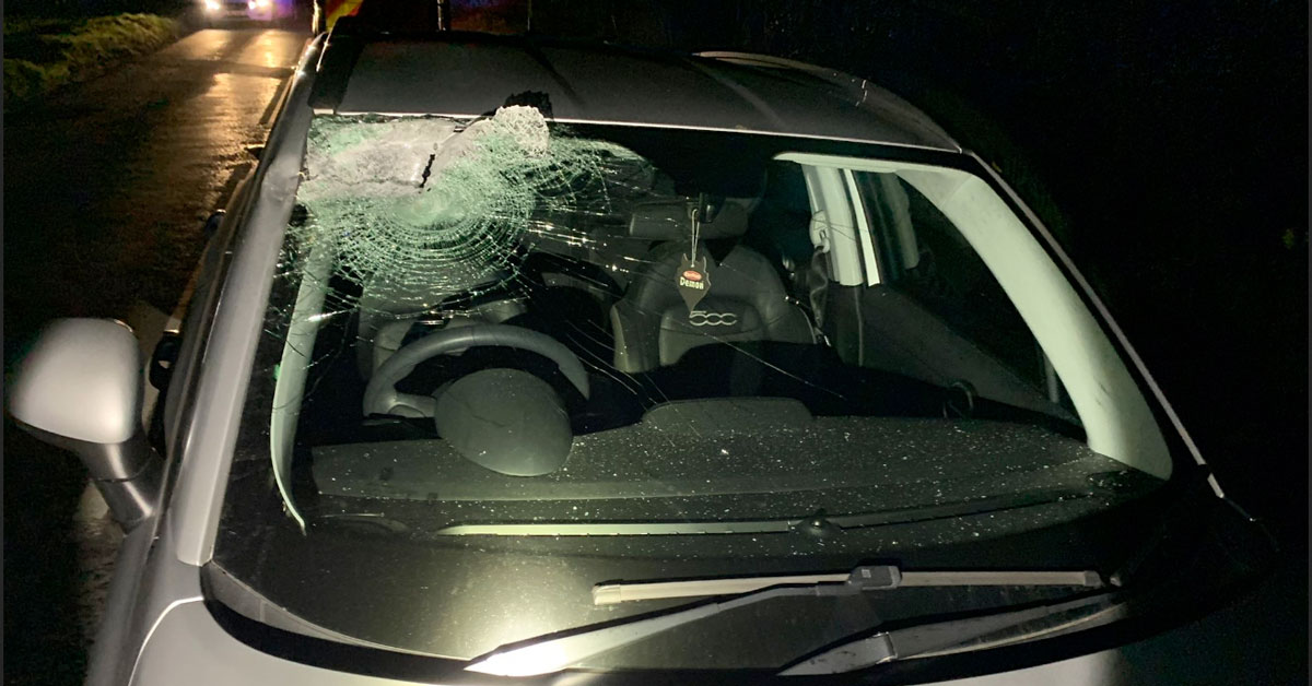 'Real scare' for Ripon driver as timber smashes into car
