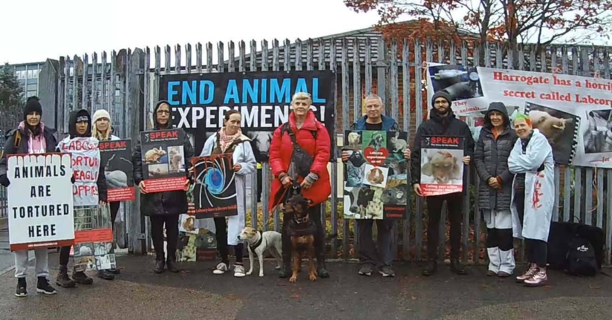 Animal rights activists march through Harrogate to Labcorp