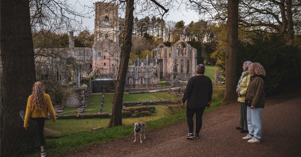 Why Fountains Abbey is pawfect for dogs