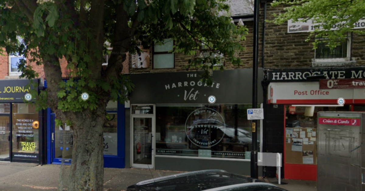 The Harrogate Vet to open 24hour animal hospital