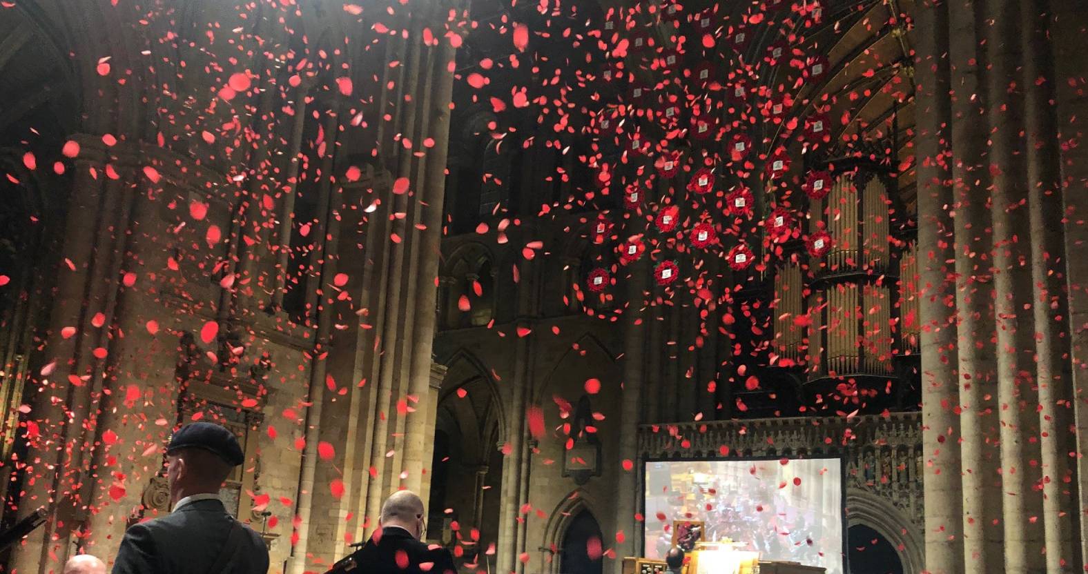 GALLERY: Ripon Cathedral bathed in a sea of poppies for Remembrance concert