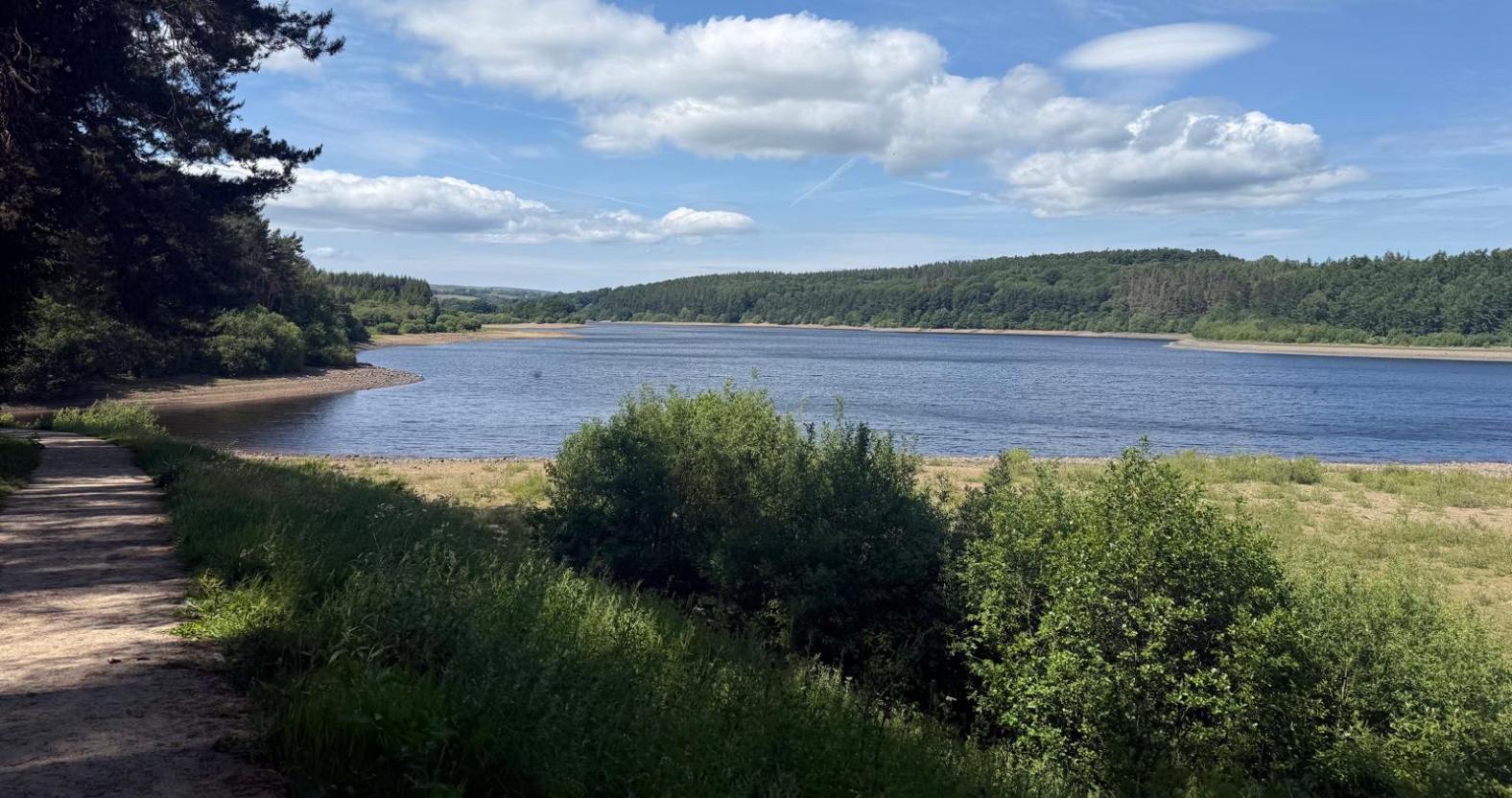 Public invited to a 'BioBlitz' event at Fewston Reservoir this week